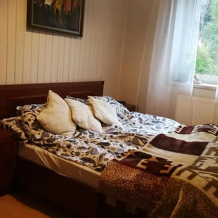 Szczyrk Mountainski Apartament المظهر الخارجي الصورة