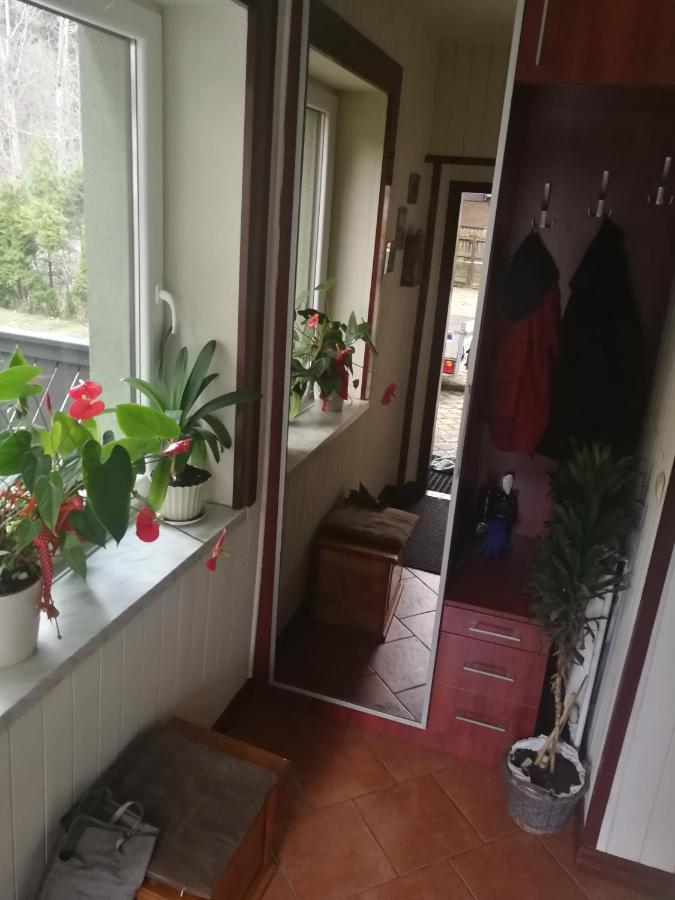 Szczyrk Mountainski Apartament المظهر الخارجي الصورة