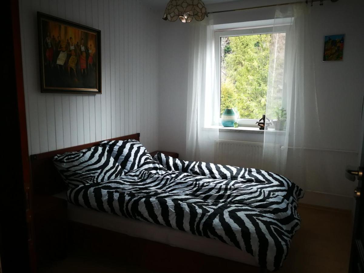 Szczyrk Mountainski Apartament المظهر الخارجي الصورة